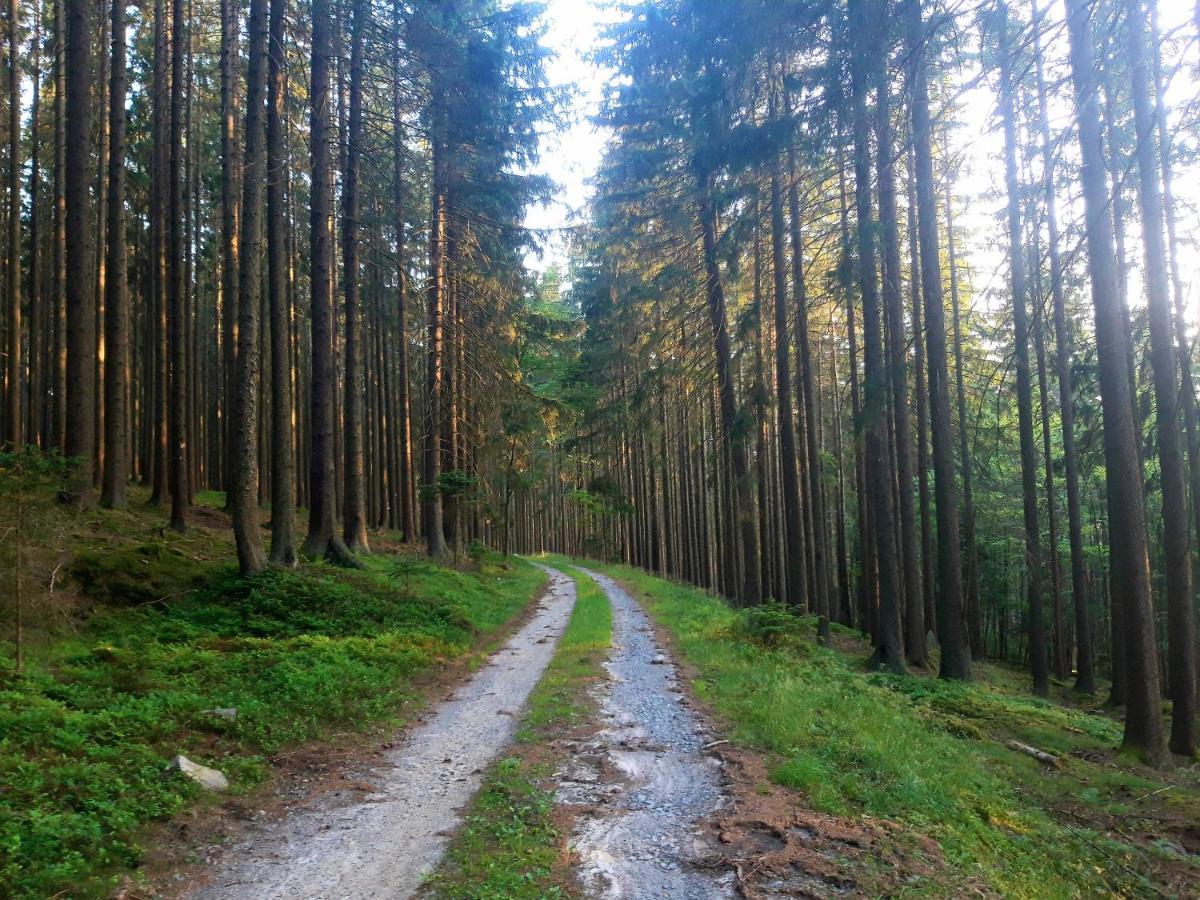#Apt23 - Apartman 23 - Novohradske Hory Benesov nad Cernou Bagian luar foto