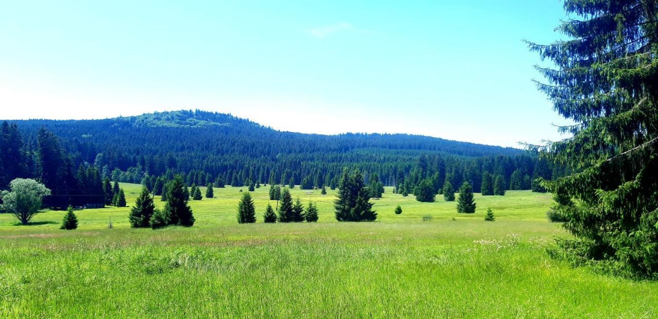 #Apt23 - Apartman 23 - Novohradske Hory Benesov nad Cernou Bagian luar foto