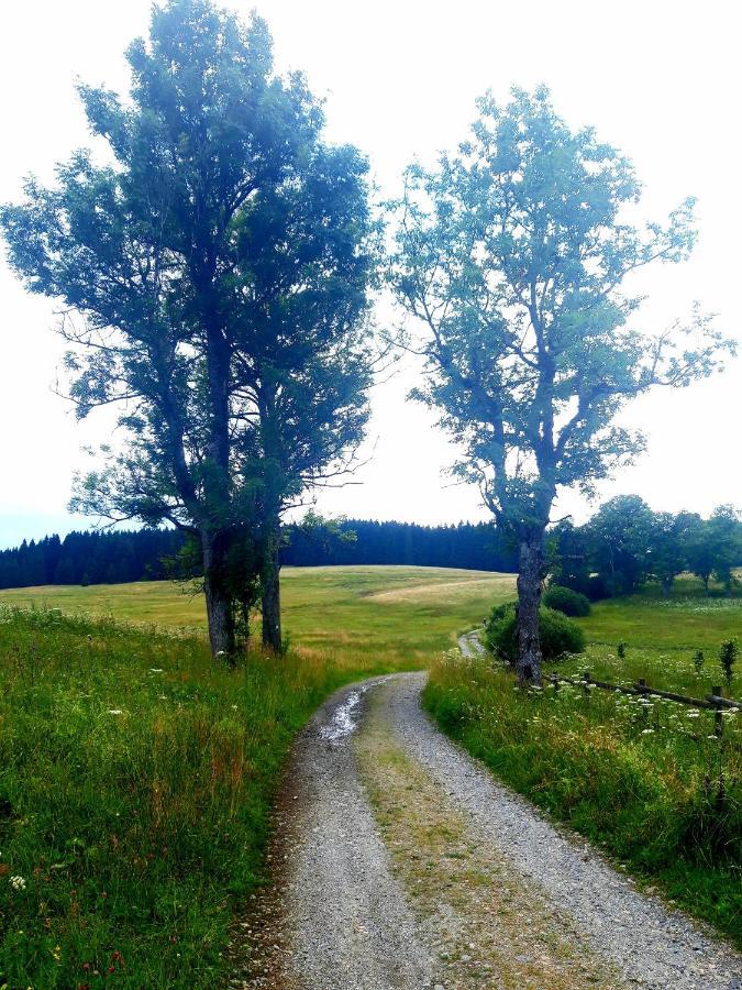 #Apt23 - Apartman 23 - Novohradske Hory Benesov nad Cernou Bagian luar foto