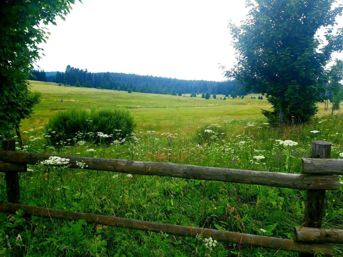 #Apt23 - Apartman 23 - Novohradske Hory Benesov nad Cernou Bagian luar foto
